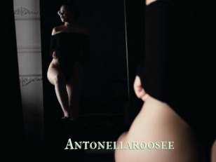 Antonellaroosee