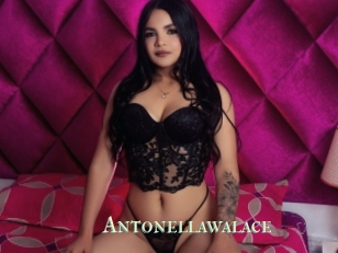 Antonellawalace