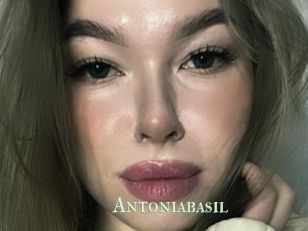 Antoniabasil