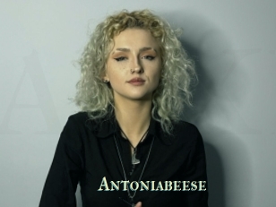 Antoniabeese