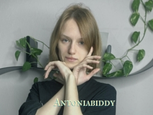 Antoniabiddy