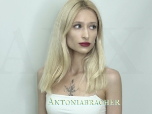 Antoniabracher