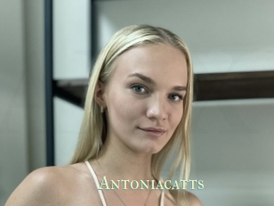 Antoniacatts