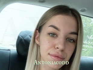 Antoniacodd