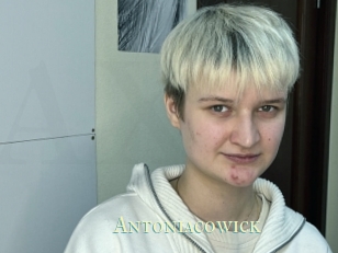 Antoniacowick