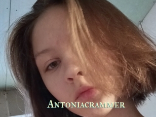 Antoniacrammer