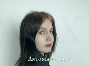 Antoniacrofoot