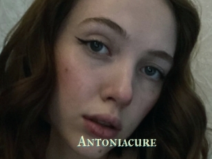 Antoniacure