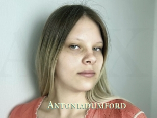 Antoniadumford