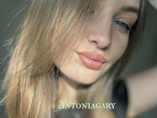 Antoniagary
