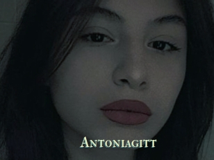 Antoniagitt