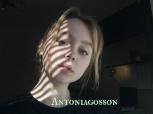 Antoniagosson