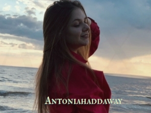 Antoniahaddaway