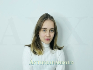 Antoniaharbold