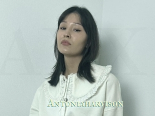 Antoniaharvison