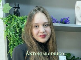 Antoniarodrigo