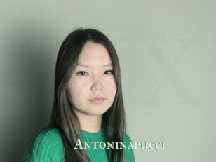 Antoninapucci