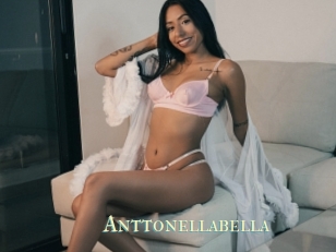 Anttonellabella