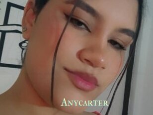 Anycarter