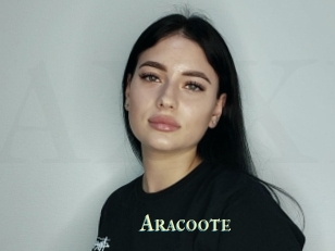 Aracoote
