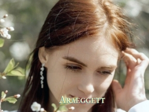 Araeggett