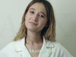 Aragledhill