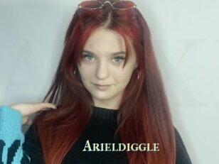 Arieldiggle