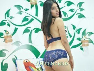 Arielnorris