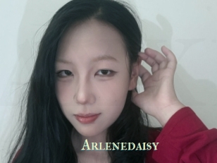 Arlenedaisy