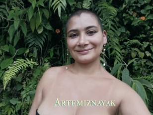 Artemiznayak