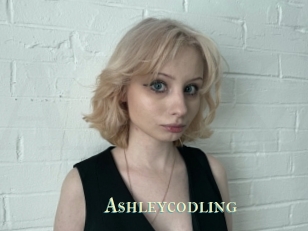 Ashleycodling