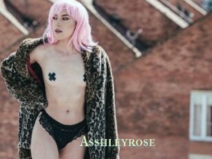 Asshleyrose