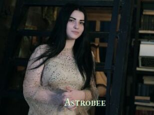 Astrobee