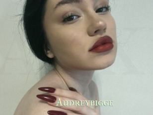 Audreybigge