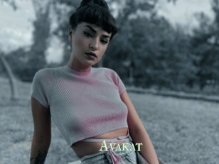Avakat
