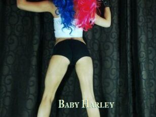 Baby_Harley