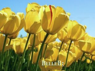 BelleB3