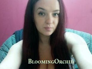 BloomingOrchid