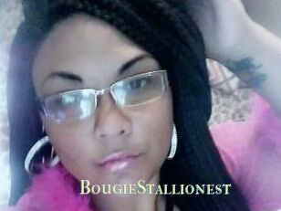 BougieStallionest