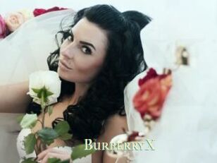 BurberryX