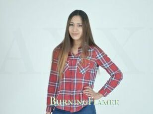 BurningFlamee