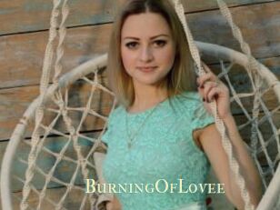 BurningOfLovee