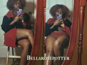 Bellarosepotter