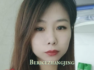 Bericezhangjing