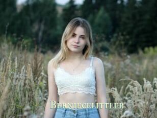 Berniecelittleb