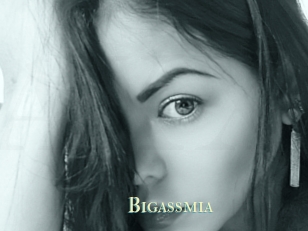Bigassmia