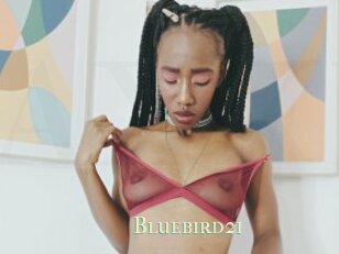 Bluebird21
