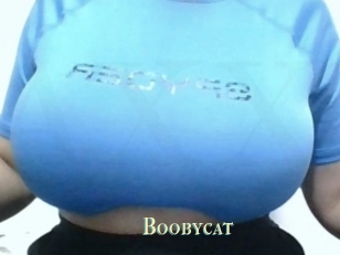 Boobycat