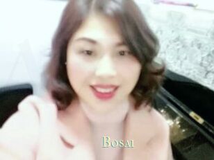 Bosai