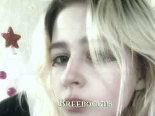 Breeboggus